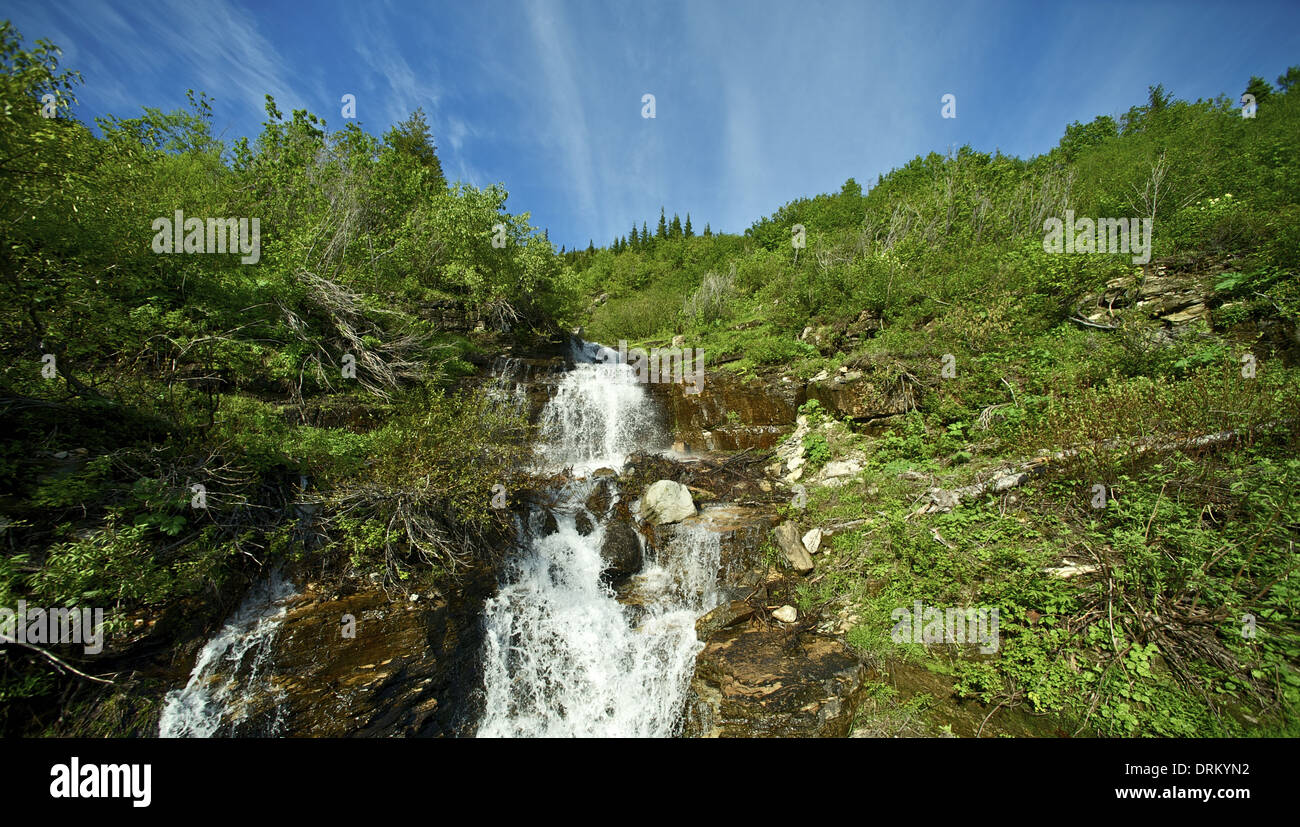 Scenic Montana. Piccole cascate rocciose in estate. Montana Raccolta foto. Foto Stock