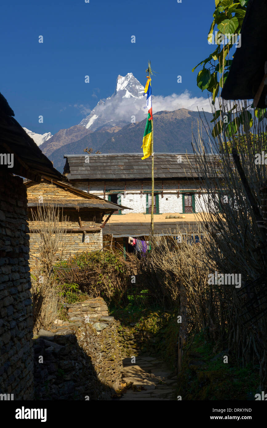 Gurung tradizionali case nel villaggio di Ghandruk nella regione di Annapurna del Nepal Foto Stock