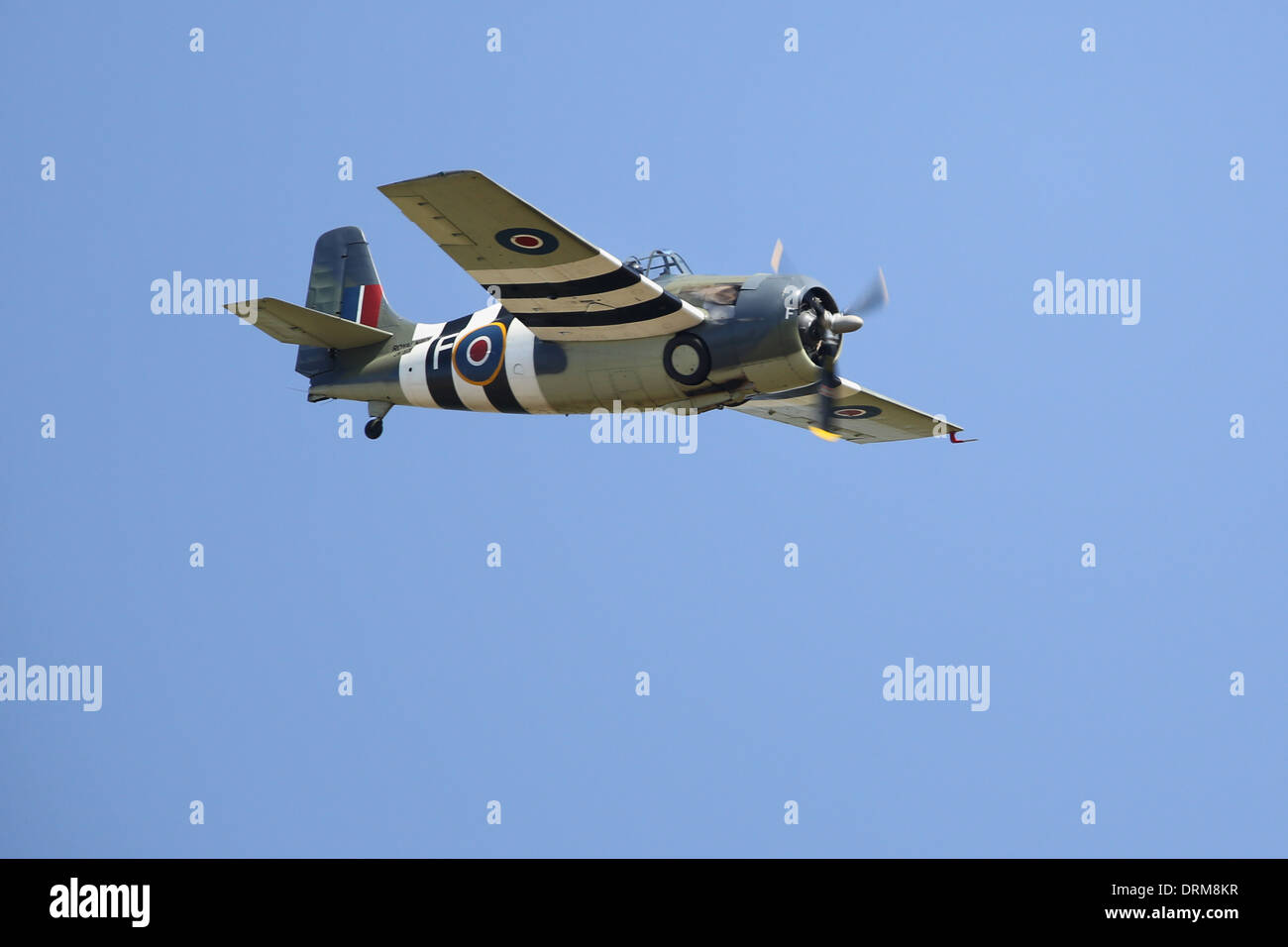 Conserve di Grumman Martlet o Wildcat WW2 US UK degli aerei da caccia a Flying Legends airshow di Foto Stock