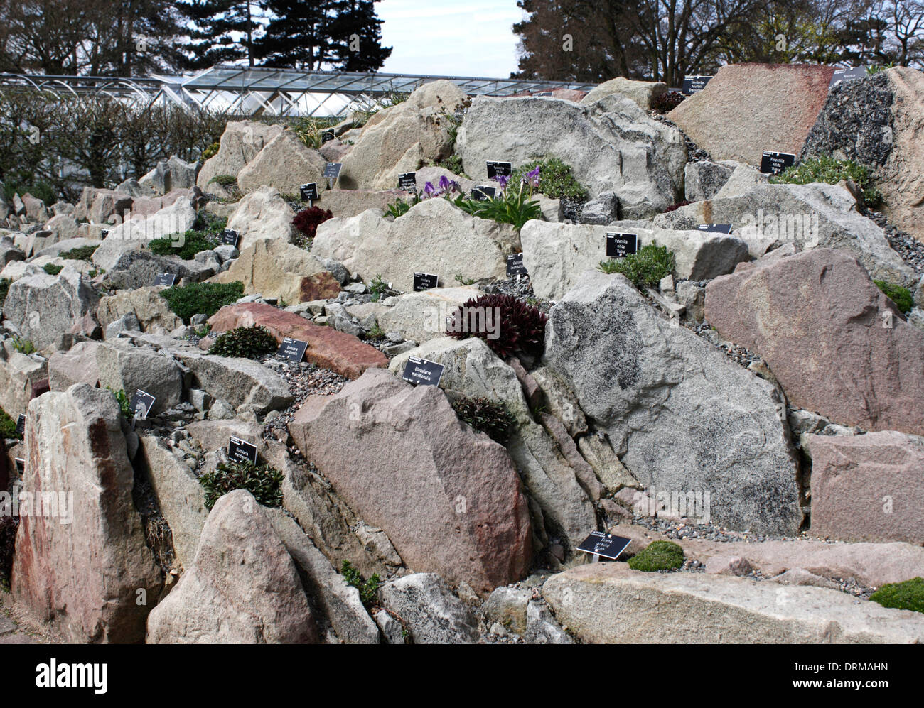 Costruito di recente e piantate giardino di roccia ad RHS Wisley. Foto Stock
