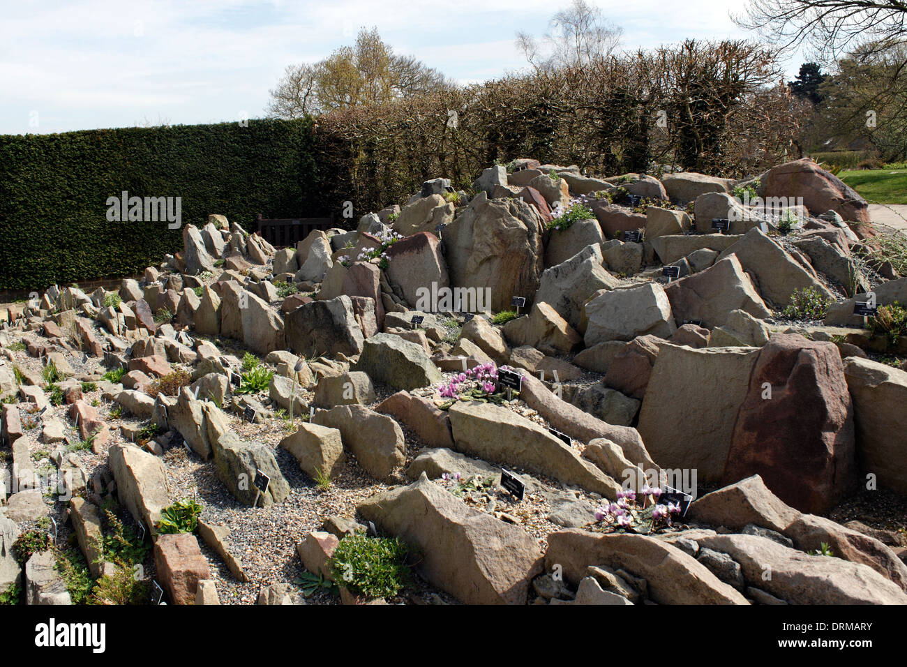 Costruito di recente e piantate giardino di roccia ad RHS Wisley. Foto Stock