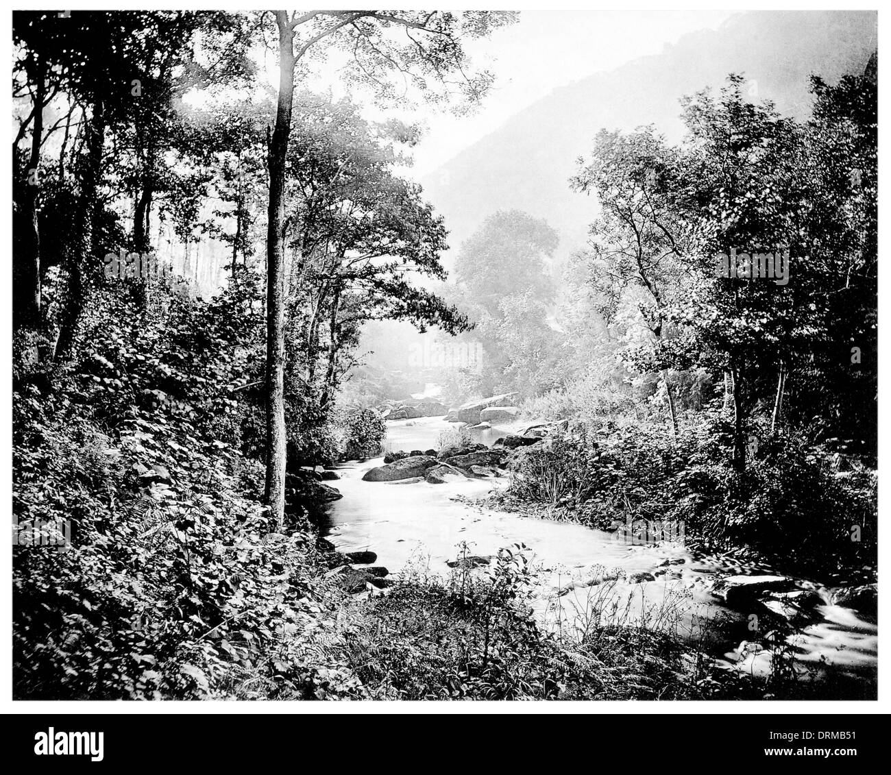 Brendon acqua, Rockford frazione del nuovo Parco Nazionale della Foresta di Hampshire, Inghilterra fotografato circa 1910 Foto Stock