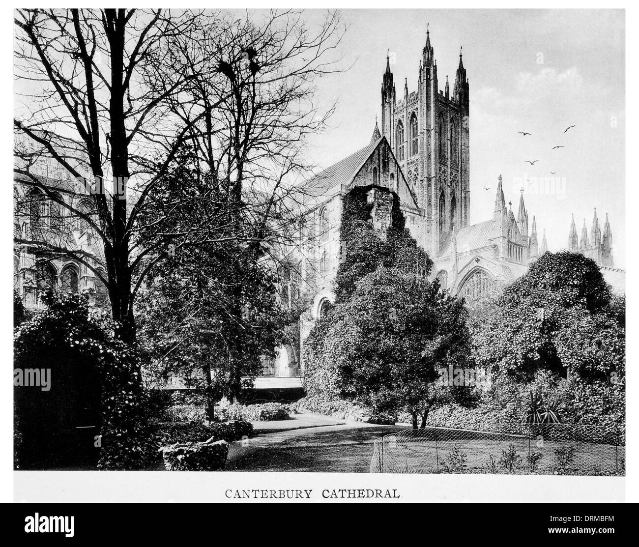 La cattedrale di Canterbury Kent giardino della chiesa anglicana fotografato circa 1910 Foto Stock