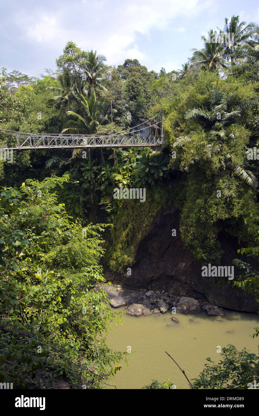 Ponte di legno nella giungla Foto Stock