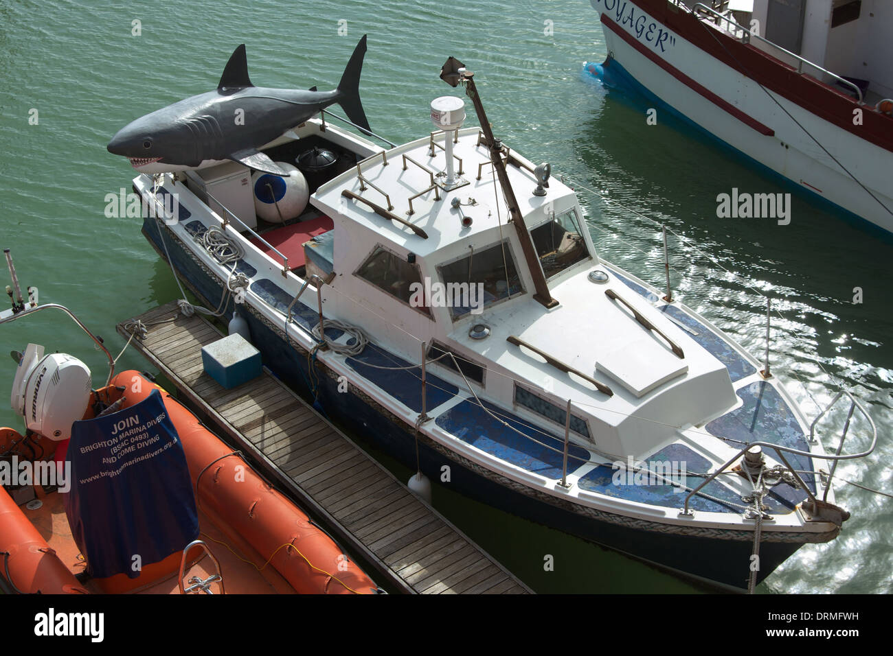 Barca da pesca con un grande squalo di plastica sul retro in Brighton Marina, Regno Unito Foto Stock