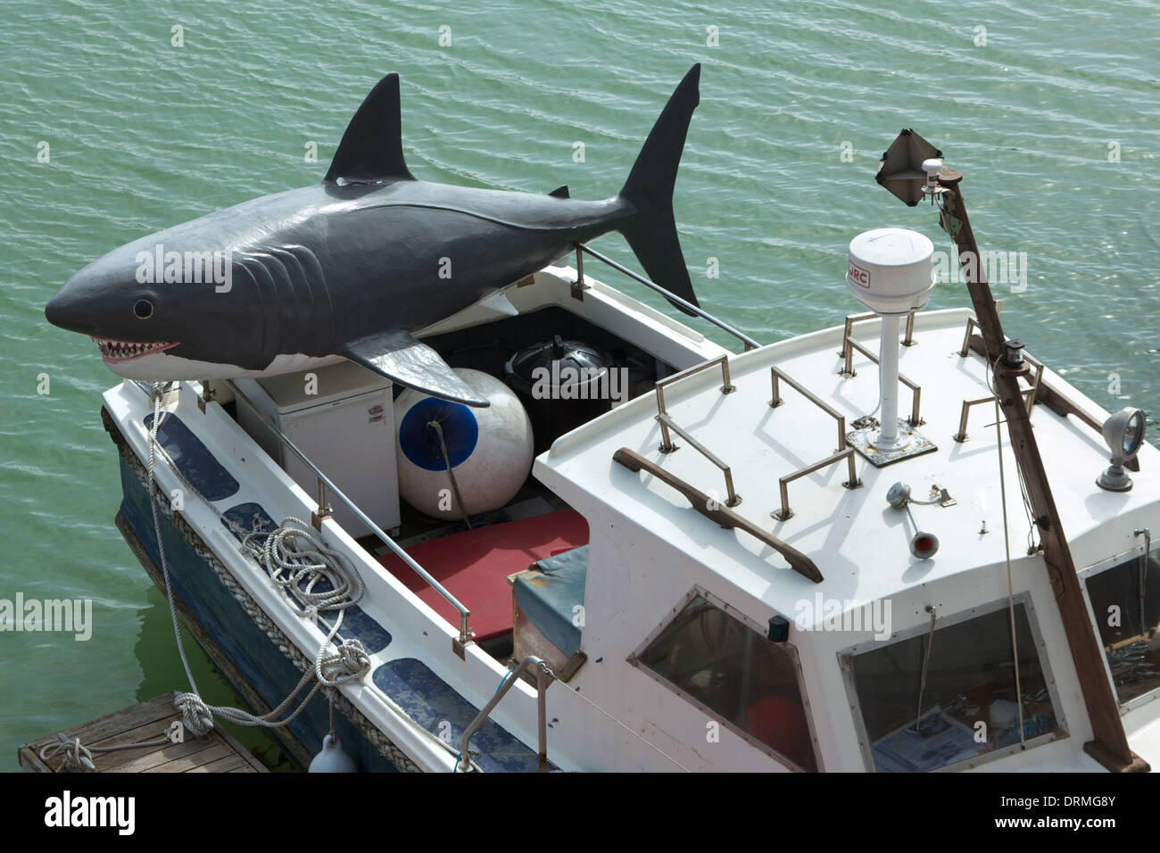 Barca da pesca con un grande squalo di plastica sul retro in Brighton Marina, Regno Unito Foto Stock