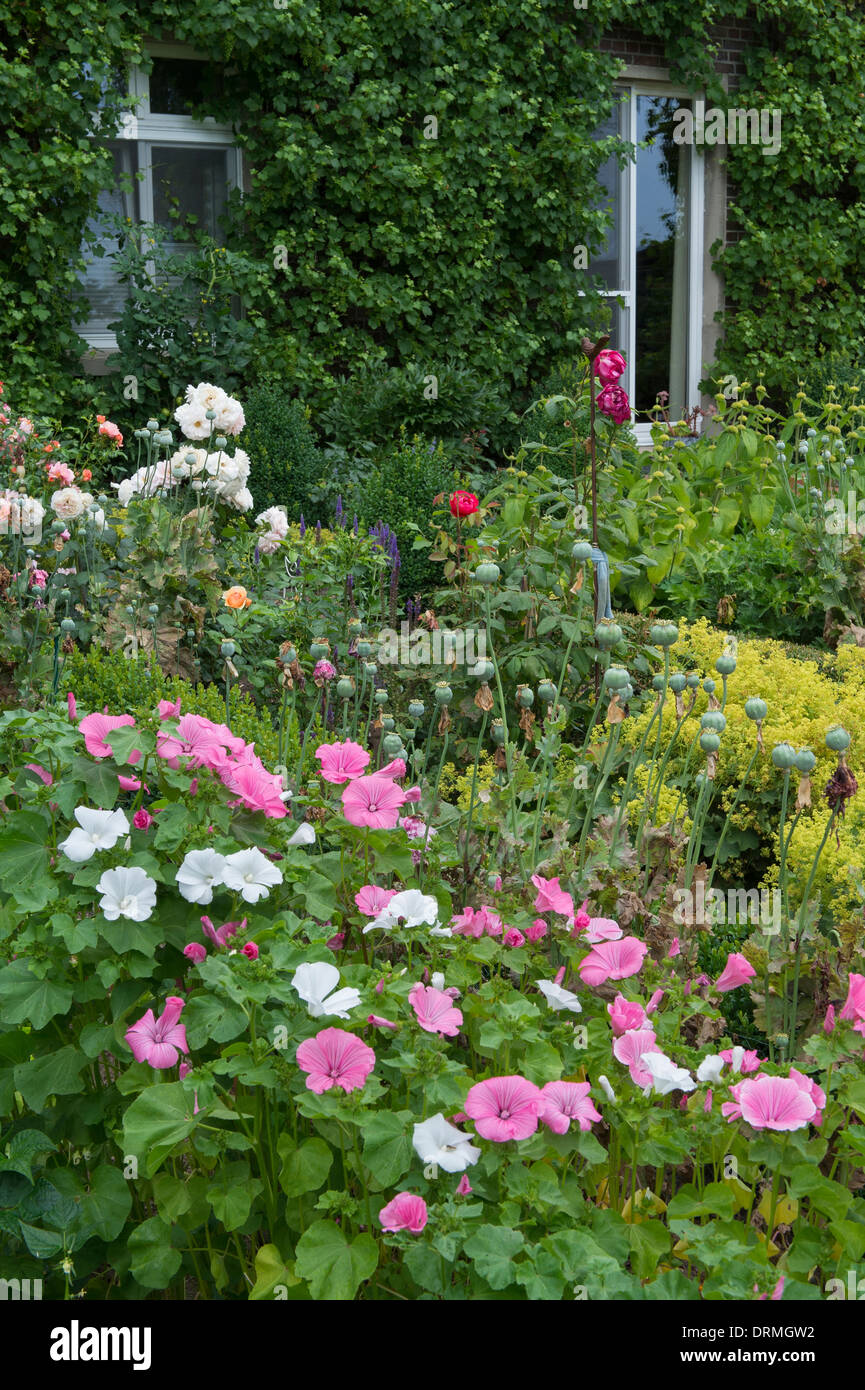 Garden cottage in elsten, Bassa Sassonia, Germania Foto Stock