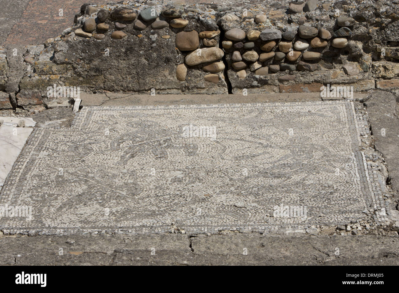 Spagna. Italica. Città romana fondata c. 206 BC. Mosaico di una domus romana. Andalusia. Foto Stock