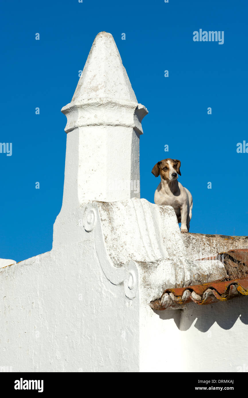 Il Portogallo, l'Alentejo, Monsaraz, strano moresco pinnacoli decorativi su un rustico Foto Stock