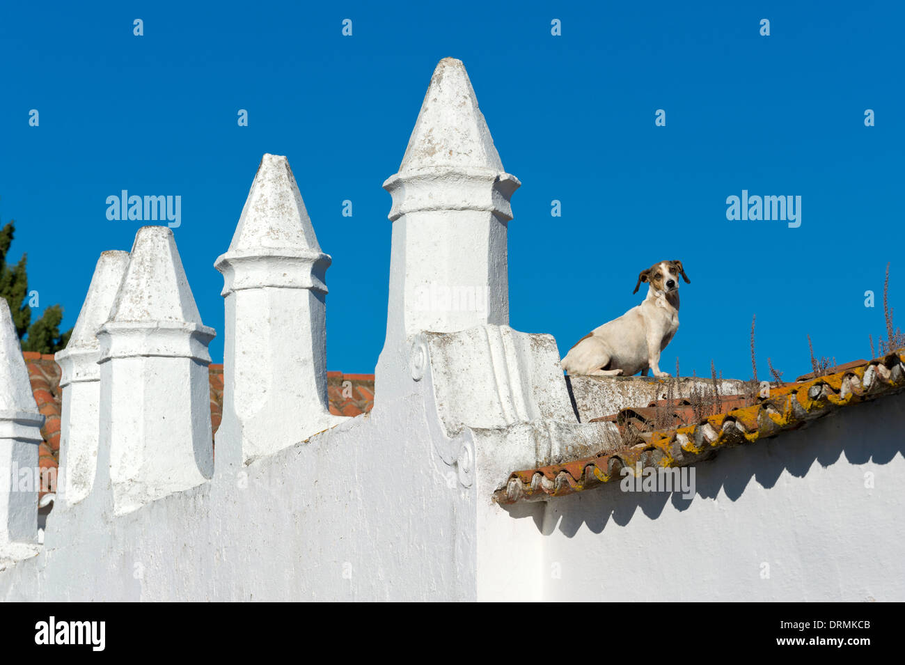 Il Portogallo, l'Alentejo, Monsaraz, strano moresco pinnacoli decorativi su un rustico Foto Stock