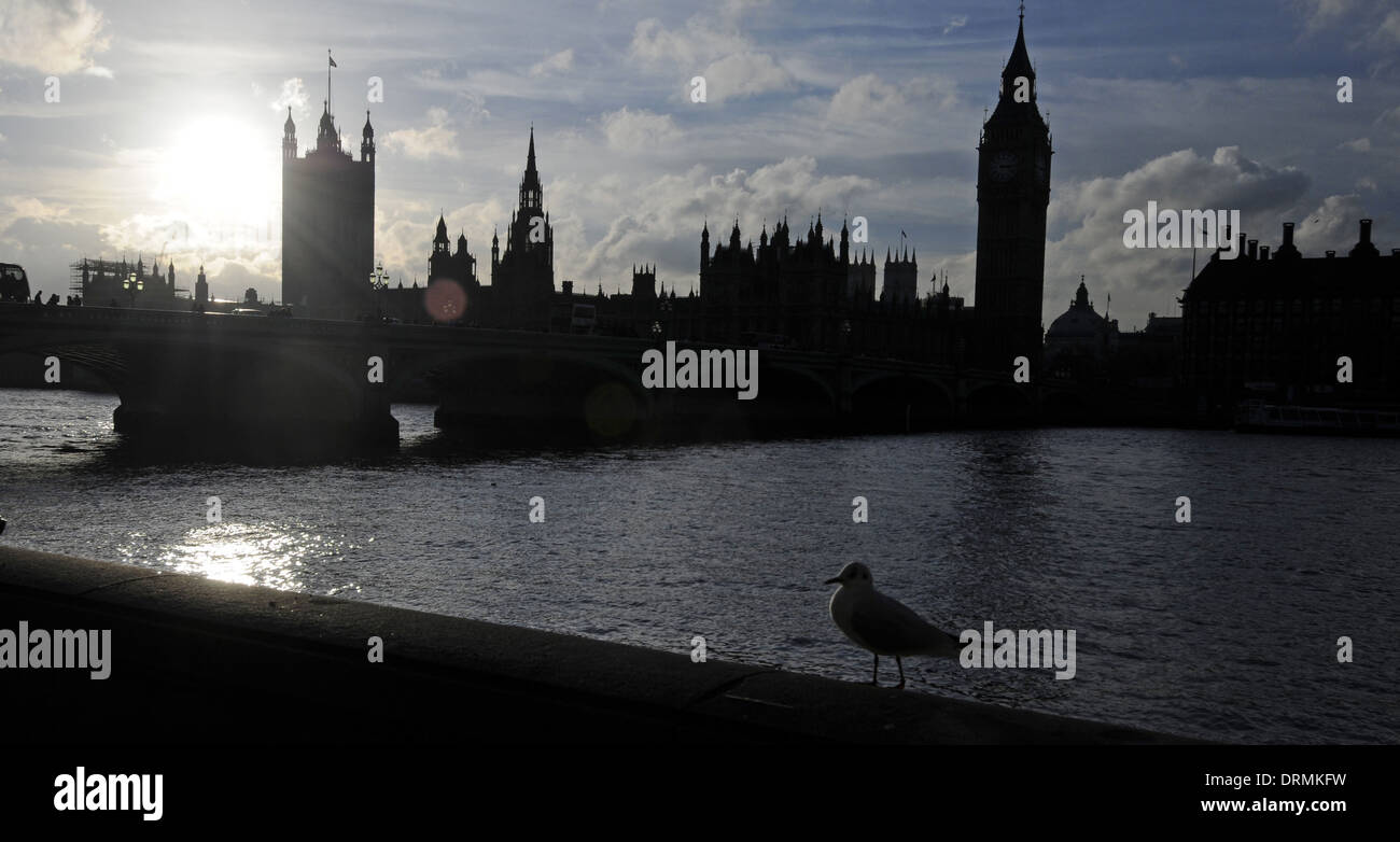 Seagull e il fiume Tamigi e le case del Parlamento con il Big Ben e Westminster Bridge London Inghilterra England Foto Stock