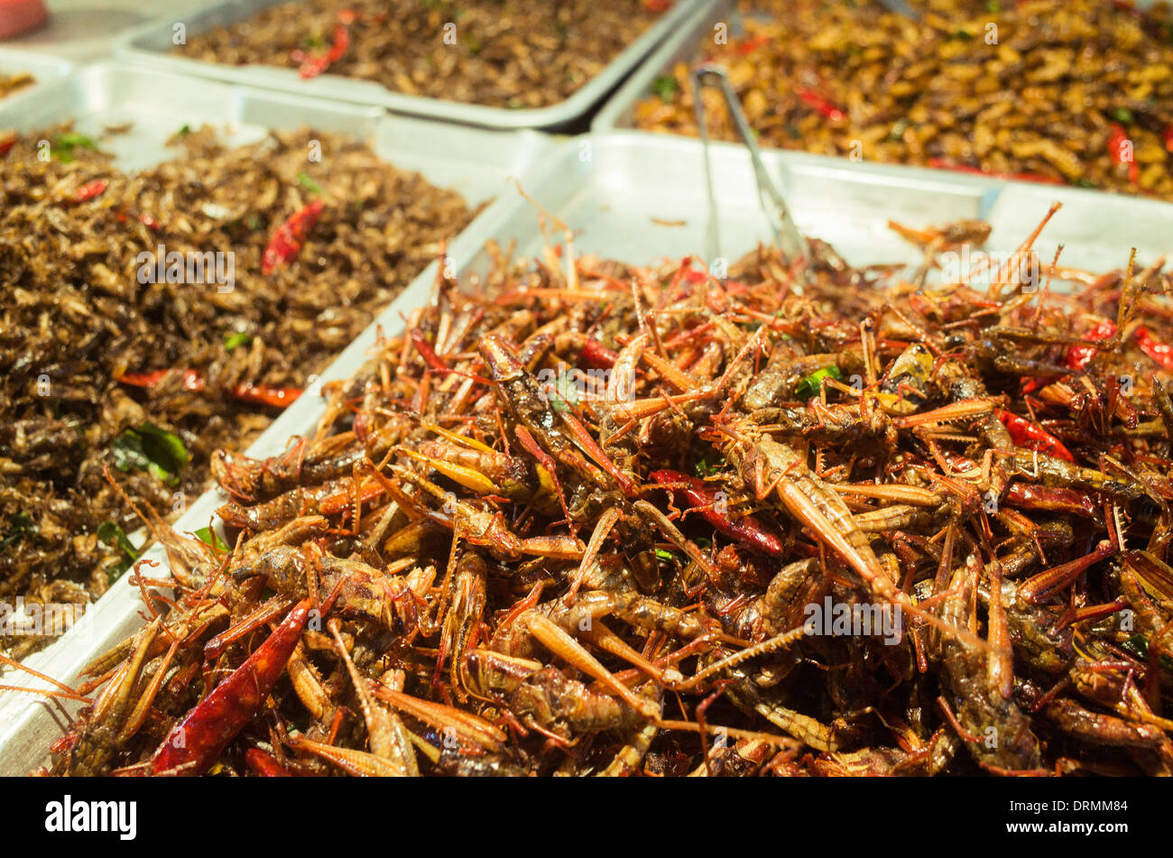 Insetti fritti snack come cibo a Bangkok, in Thailandia. Foto Stock
