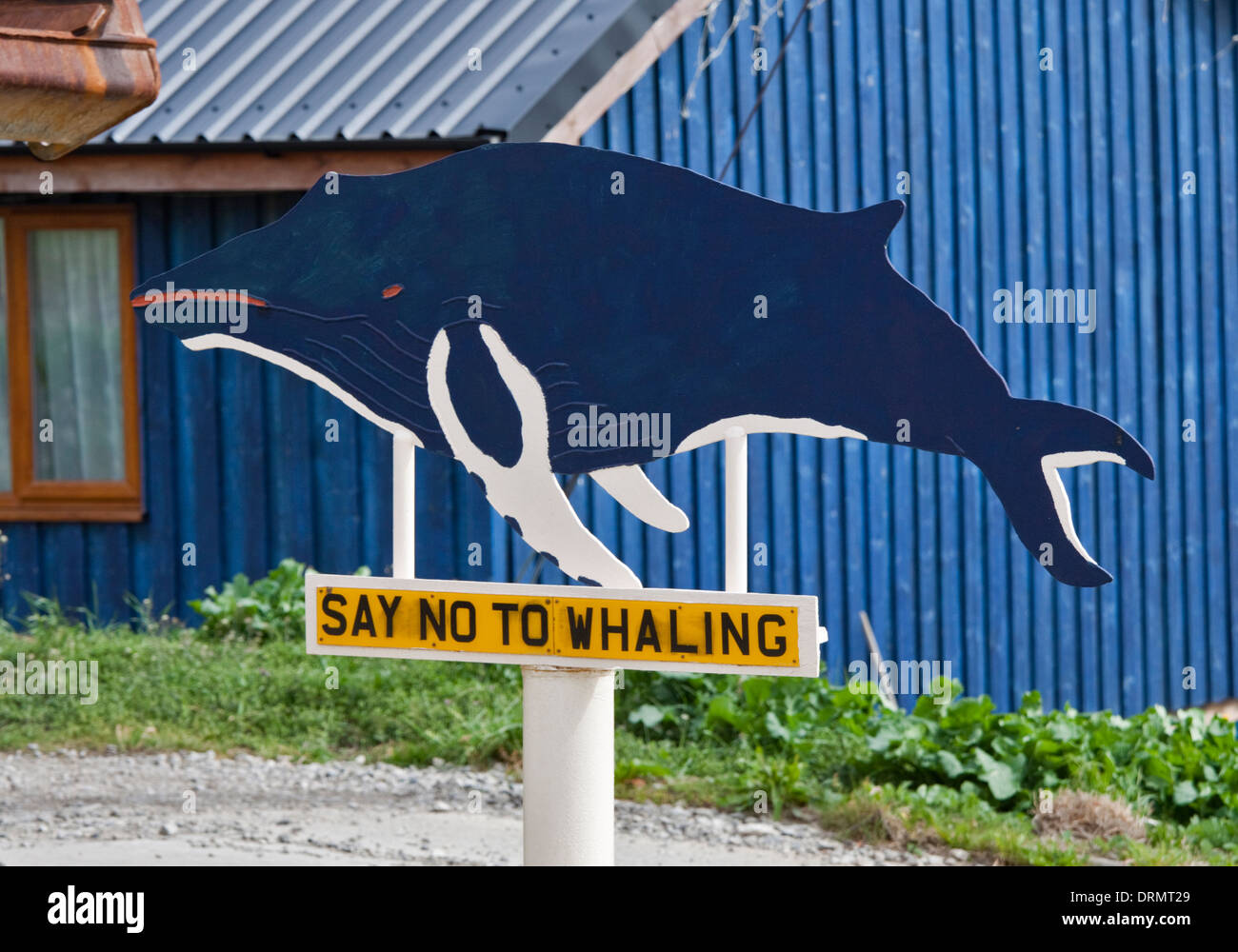 Dire no alla caccia alle balene segno, Stanley, Isole Falkland Foto Stock