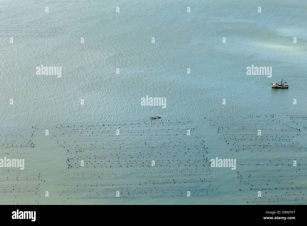 Vista aerea di una barca accanto alla fattoria di vongole nel canto Spiaggia Grande formato dal 'Mar de dentro' (all'interno del mare), Bombinhas. Santa Catarina, Brasile Foto Stock