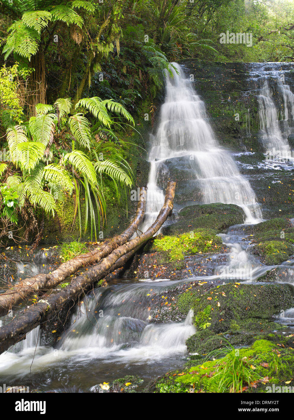 Vista della sposa Velo della caduta, trovata nel Catlins, Southland, Nuova Zelanda. Foto Stock