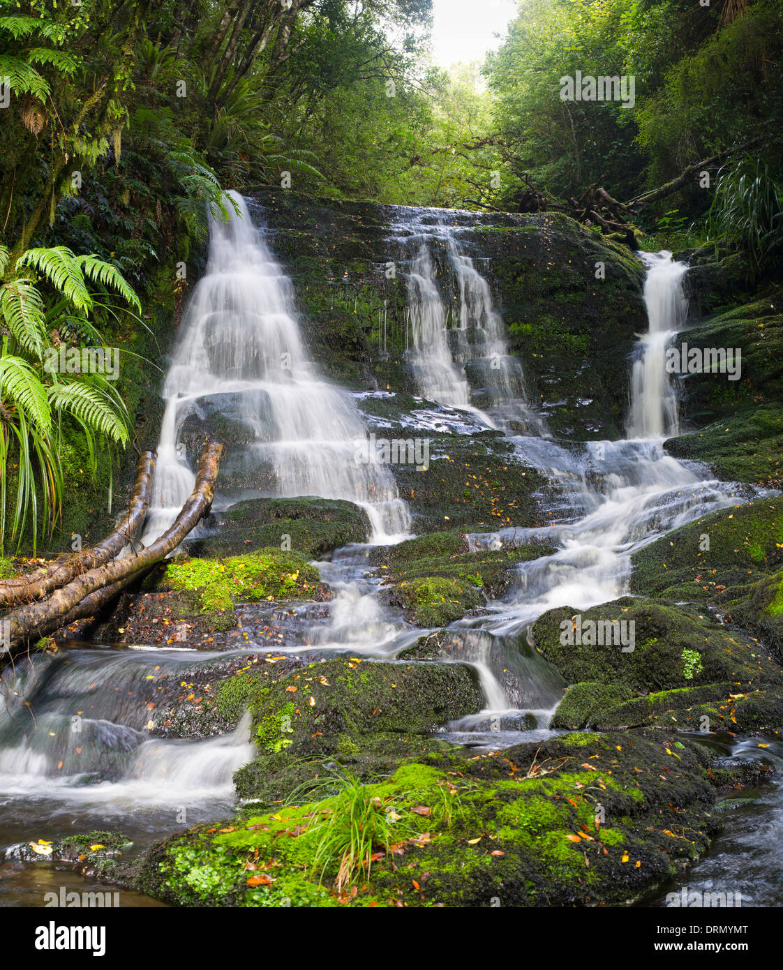 Vista della sposa Velo della caduta, trovata nel Catlins, Southland, Nuova Zelanda. Foto Stock