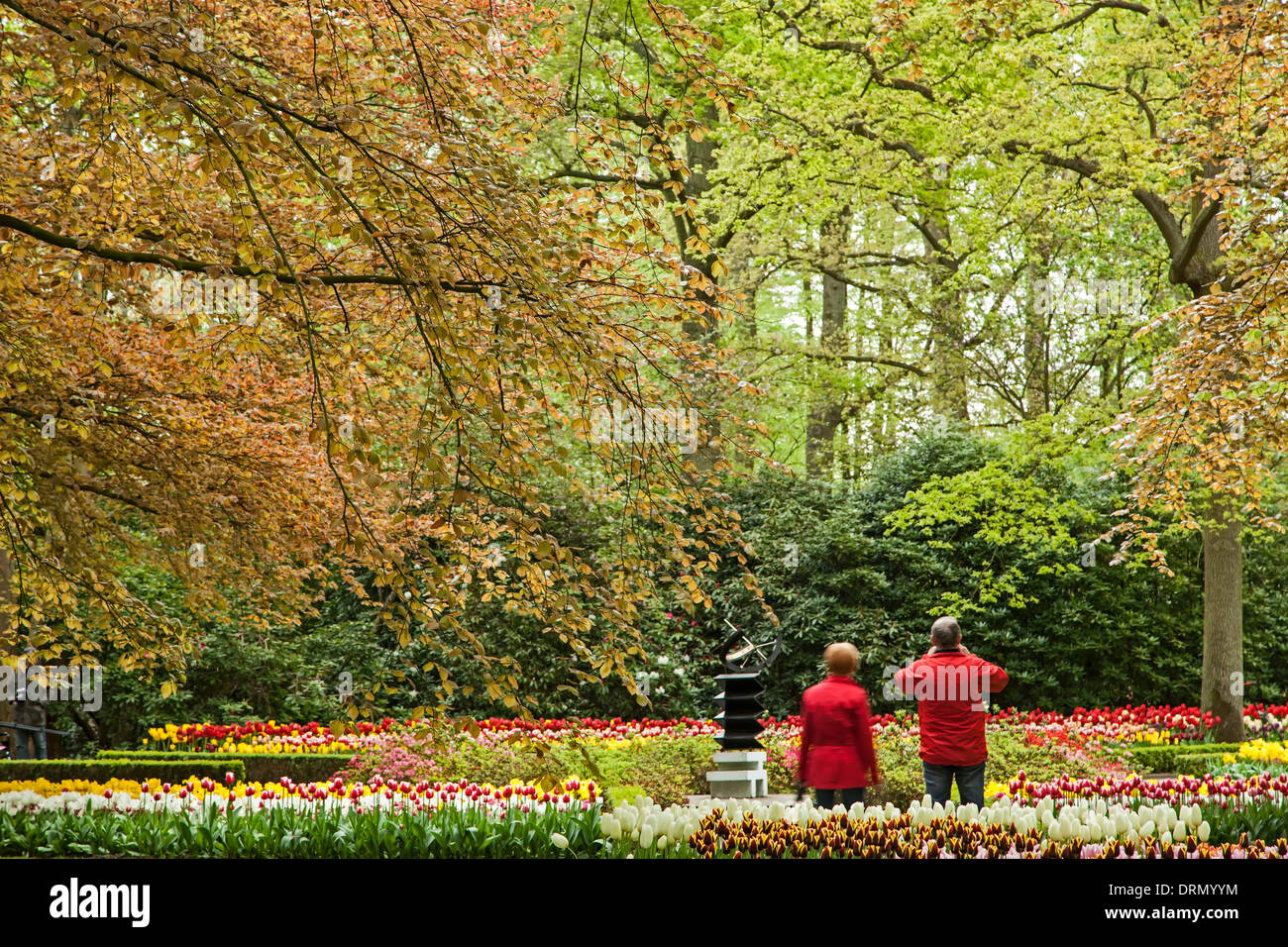 Coppia tra gli alberi e i fiori in mostra, Giardini Keukenhof, vicino a Lisse, Paesi Bassi Foto Stock