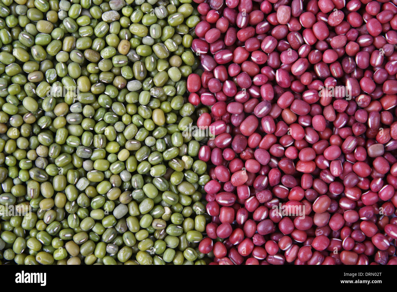 Fagioli e fagioli rossi Foto Stock