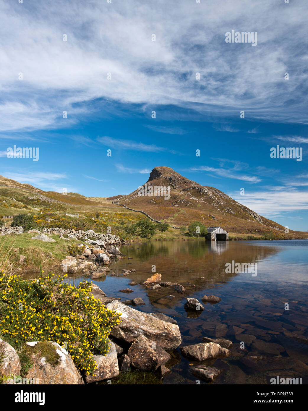 Llnn Cregennan, Snowdonia Foto Stock
