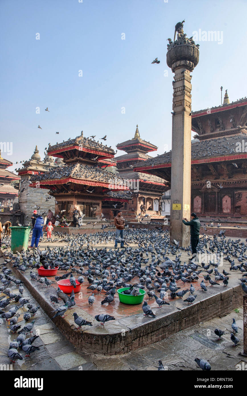 Alimentazione dei piccioni in Piazza Durbar, Kathmandu, Nepal Foto Stock