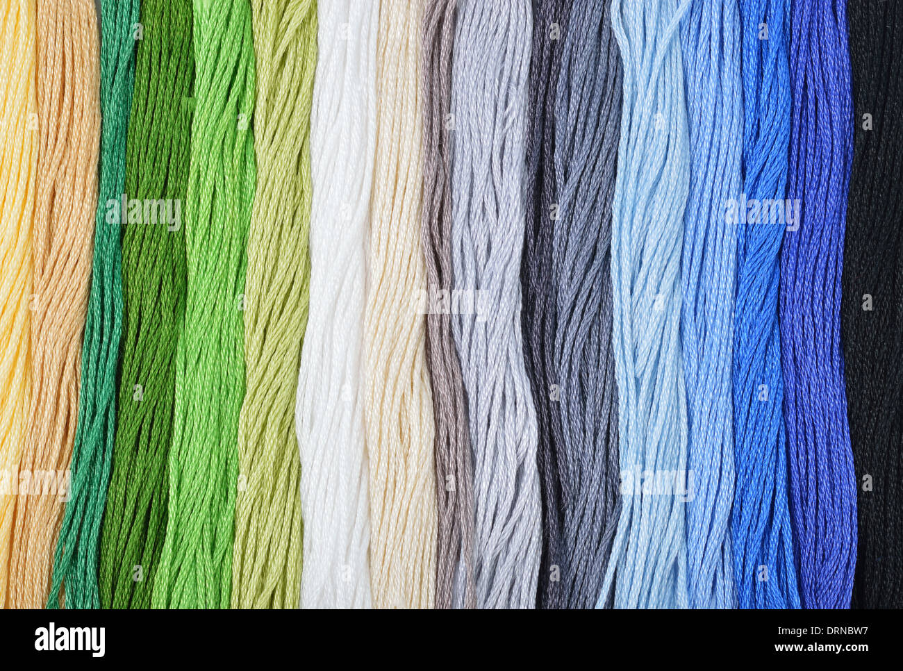 Colorati fili di ricamo in una fila. Sfondo colorato. Foto Stock