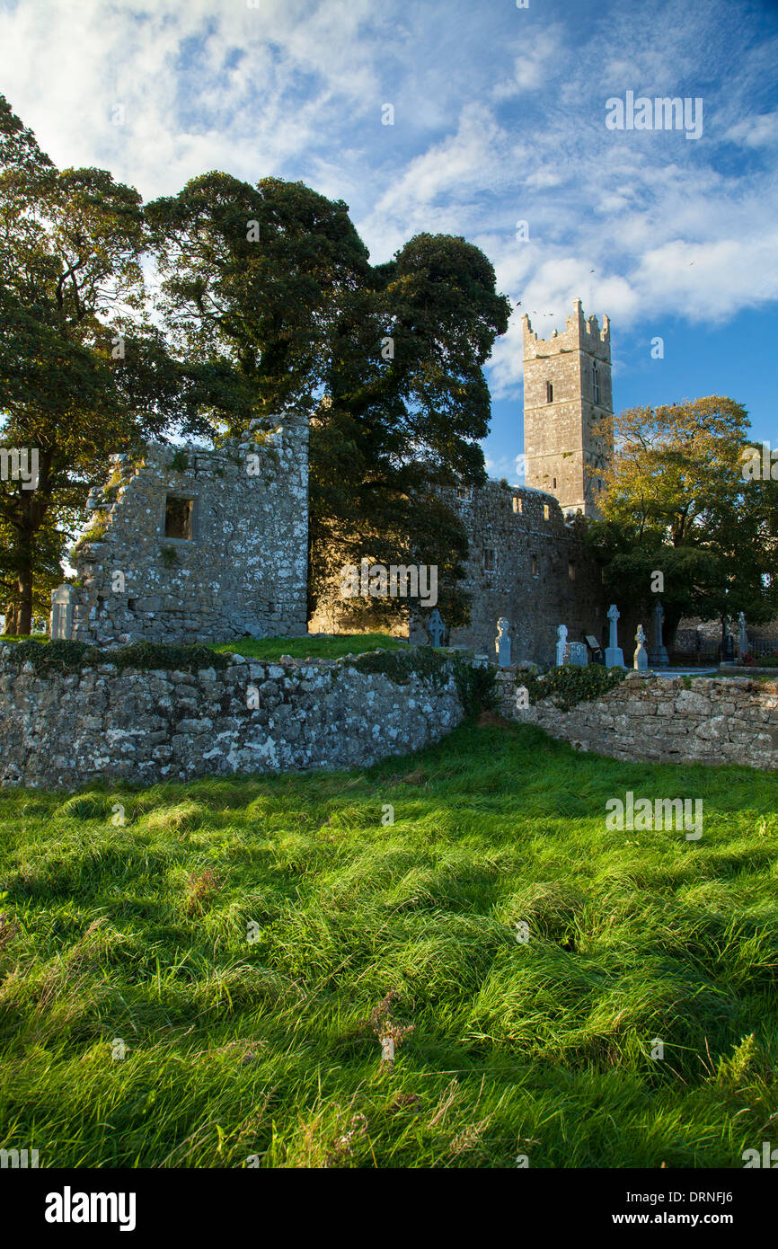 Claregalway Abbey, Claregalway, nella contea di Galway, Irlanda. Foto Stock