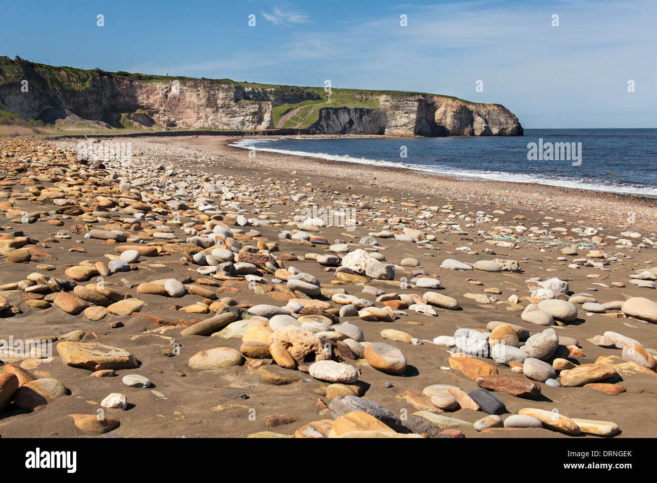 Nasi punto sulla spiaggia Forge, Seaham, County Durham, Inghilterra Foto Stock