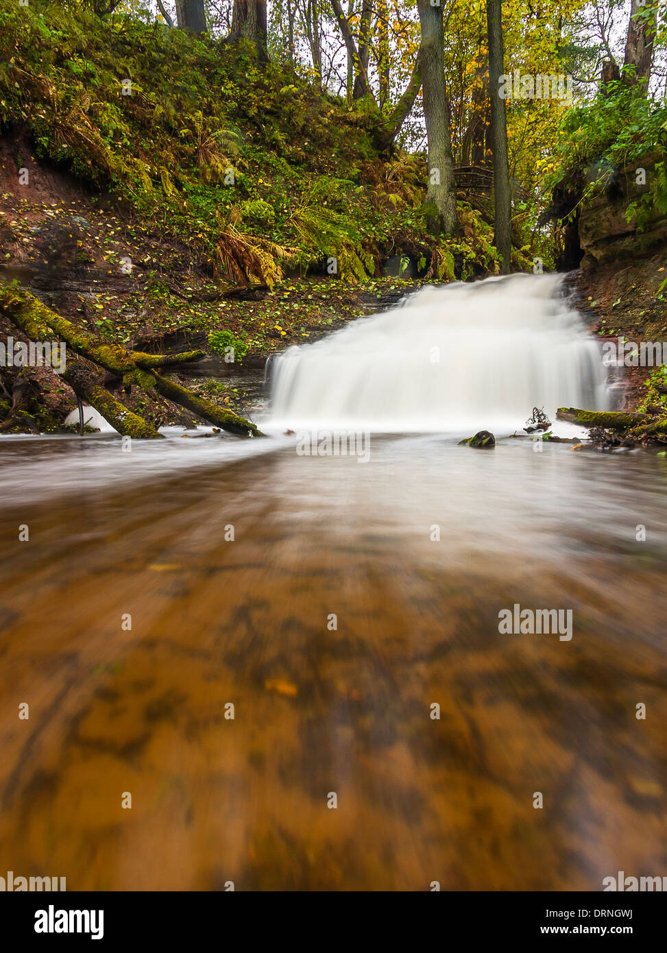 Piccola cascata o cascata nella foresta di autunno Foto Stock