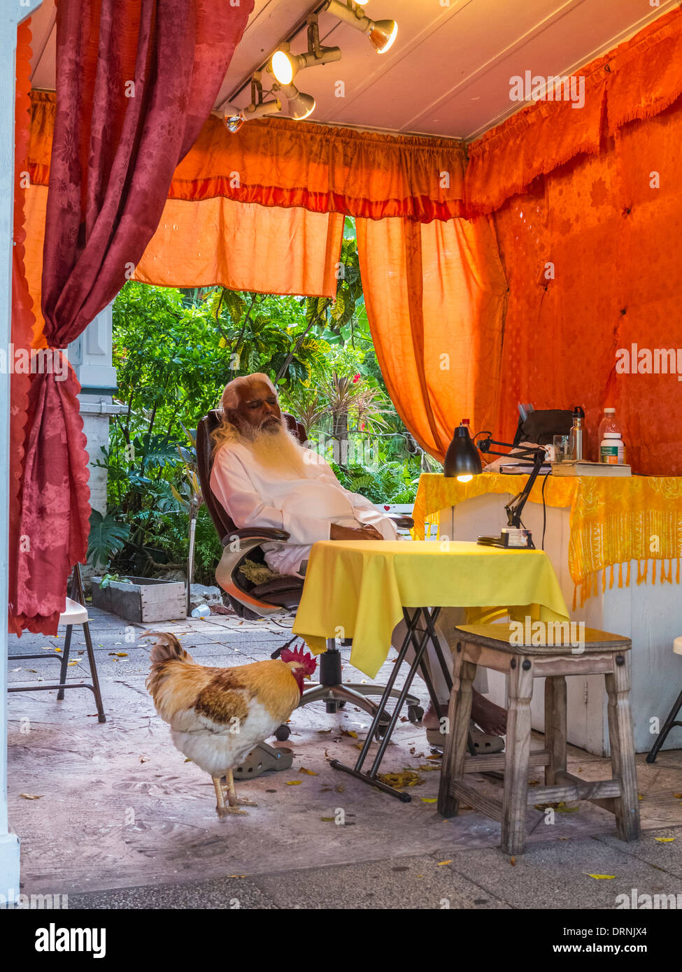 Indovino di Key West, Florida, Stati Uniti d'America Foto Stock