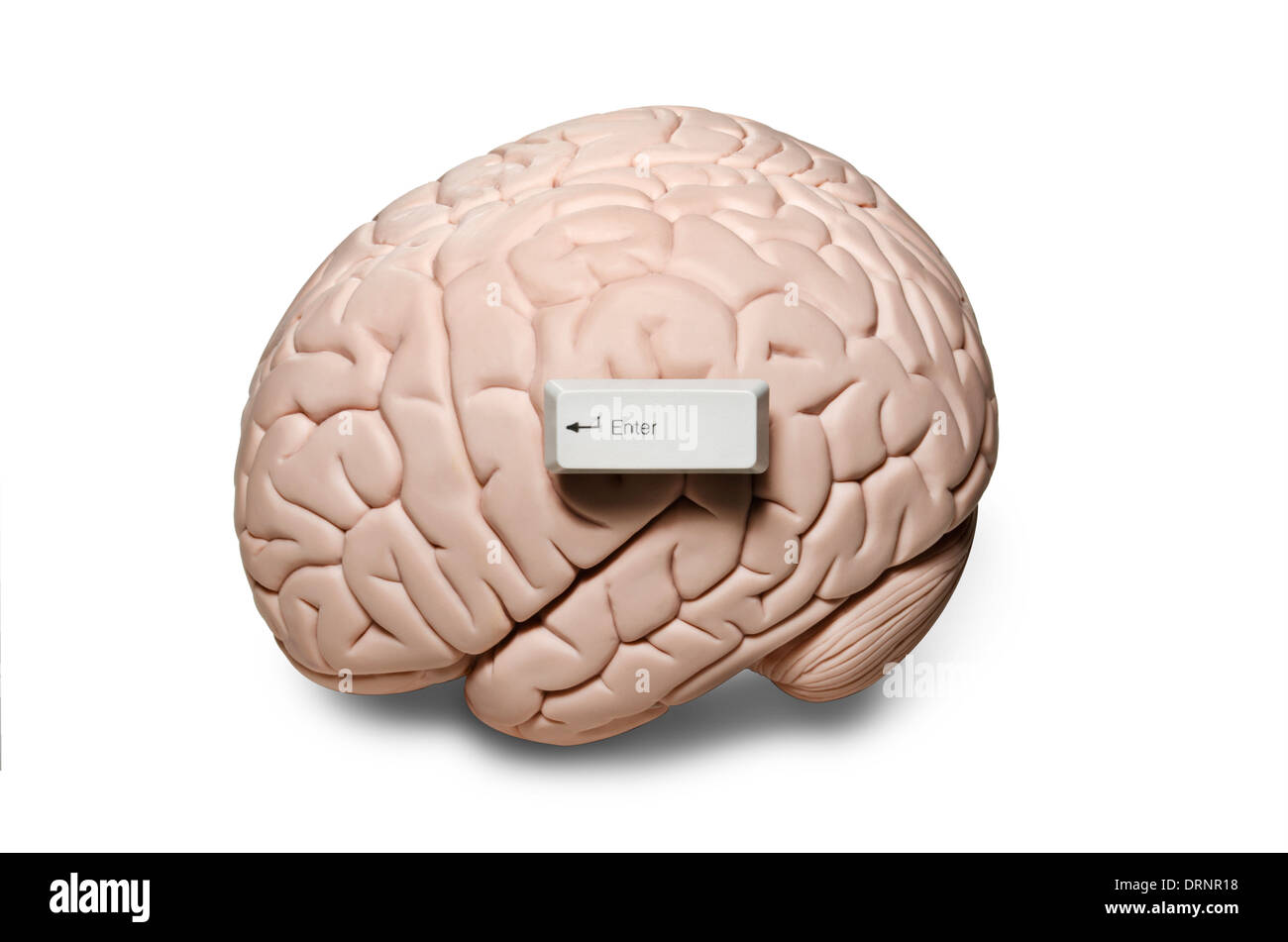 Cervello con chiavi di computer Foto Stock