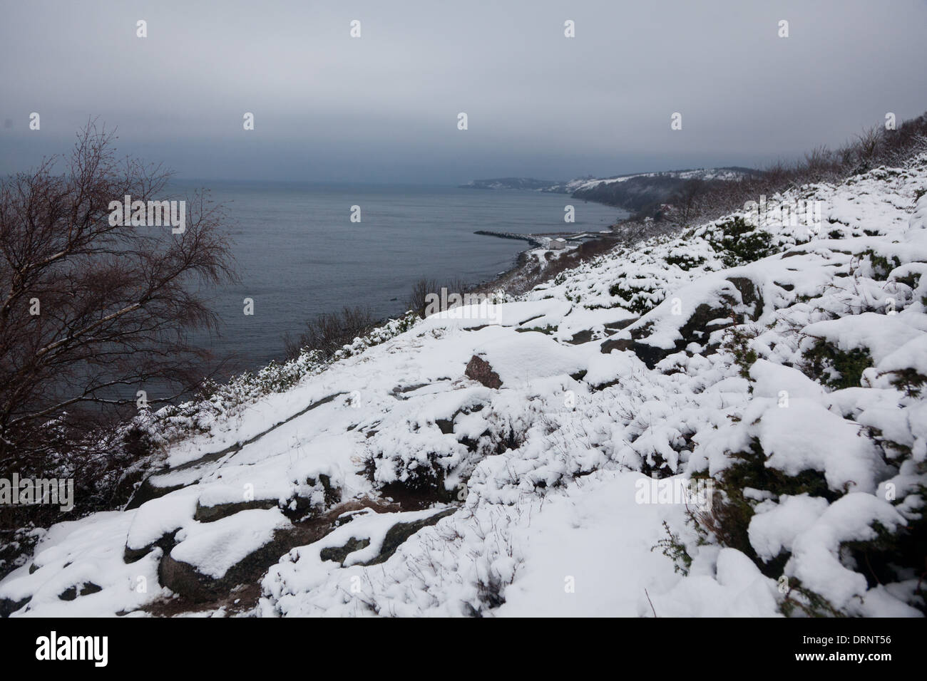 Un nevoso lato collina sopra il porto di caricabasso su Bornholm. L'inverno è arrivato e il paesaggio è coperto di neve fresca. Foto Stock