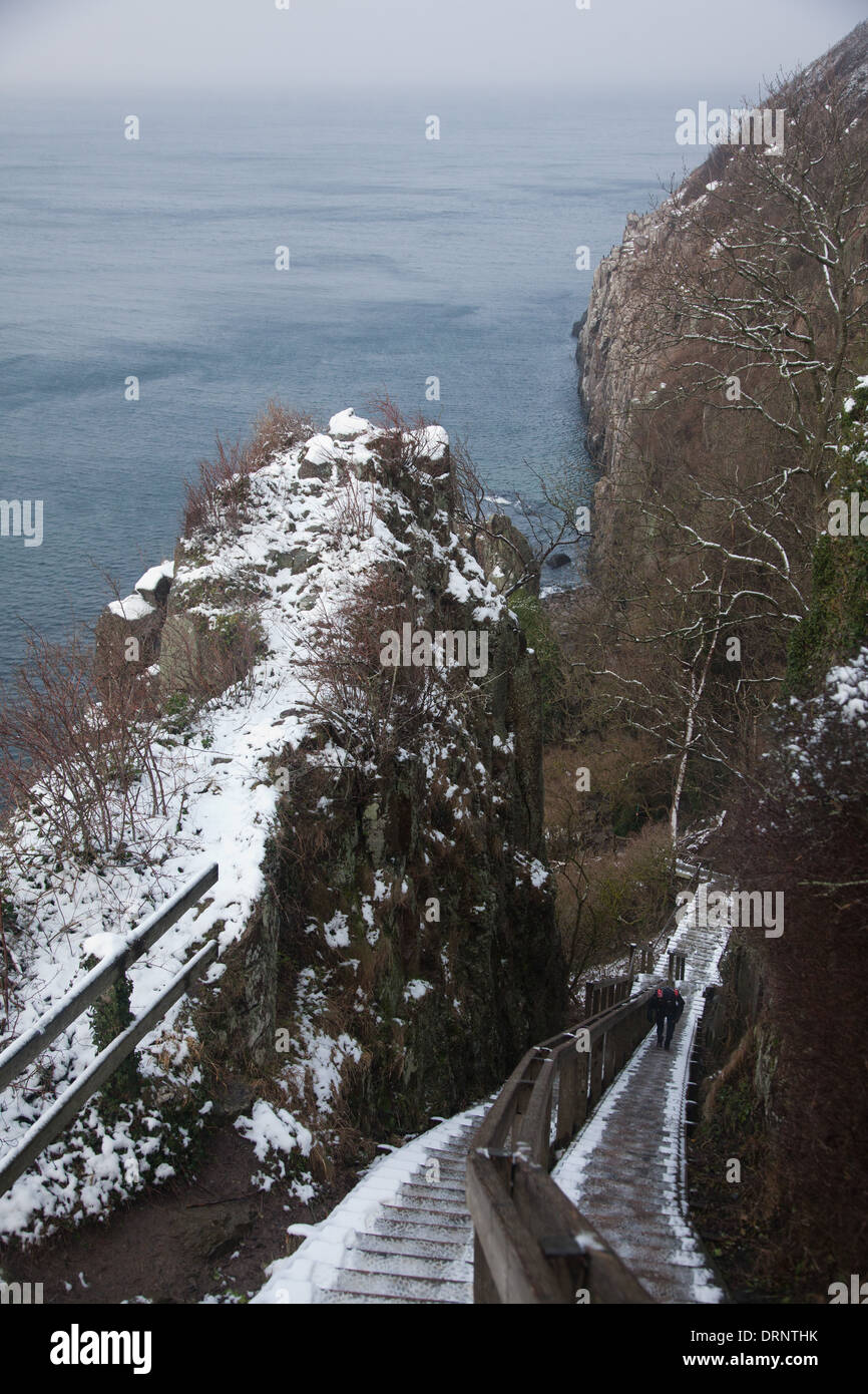 Una femmina di 50 miglia runner arriva fino alle scale da Jons Kapel qui di seguito. Le scale sono a lungo e duramente per salire con la neve e il ghiaccio. Foto Stock
