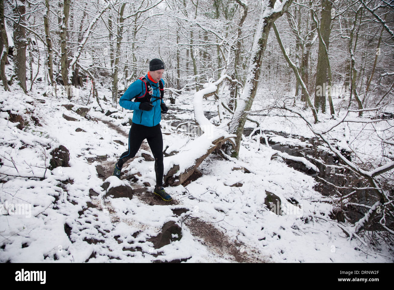 Un runner fa il suo modo attraverso i bit di bosco lungo un sentiero stretto. Foto Stock