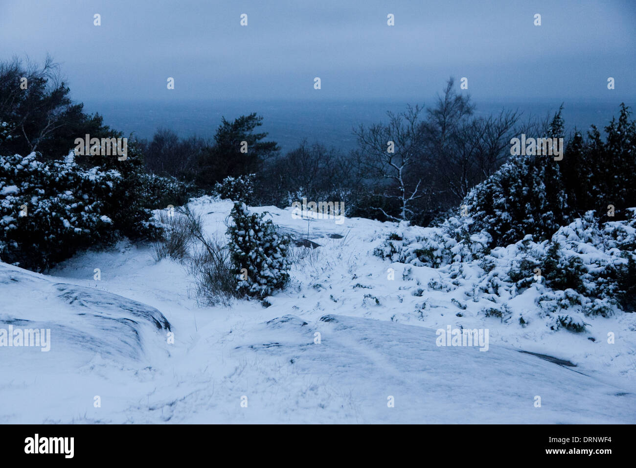 Le colline innevate sopra il mare sul martello Knude, parte nord occidentale dell'isola di Bornholm. Foto Stock