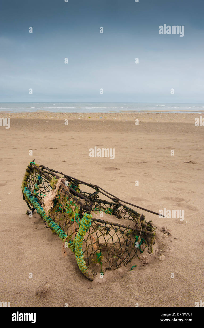 Lavate il pesce trappola sulla spiaggia a disprezzare il punto Foto Stock