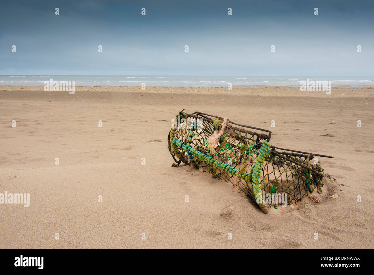 Lavate il pesce trappola sulla spiaggia a disprezzare il punto Foto Stock