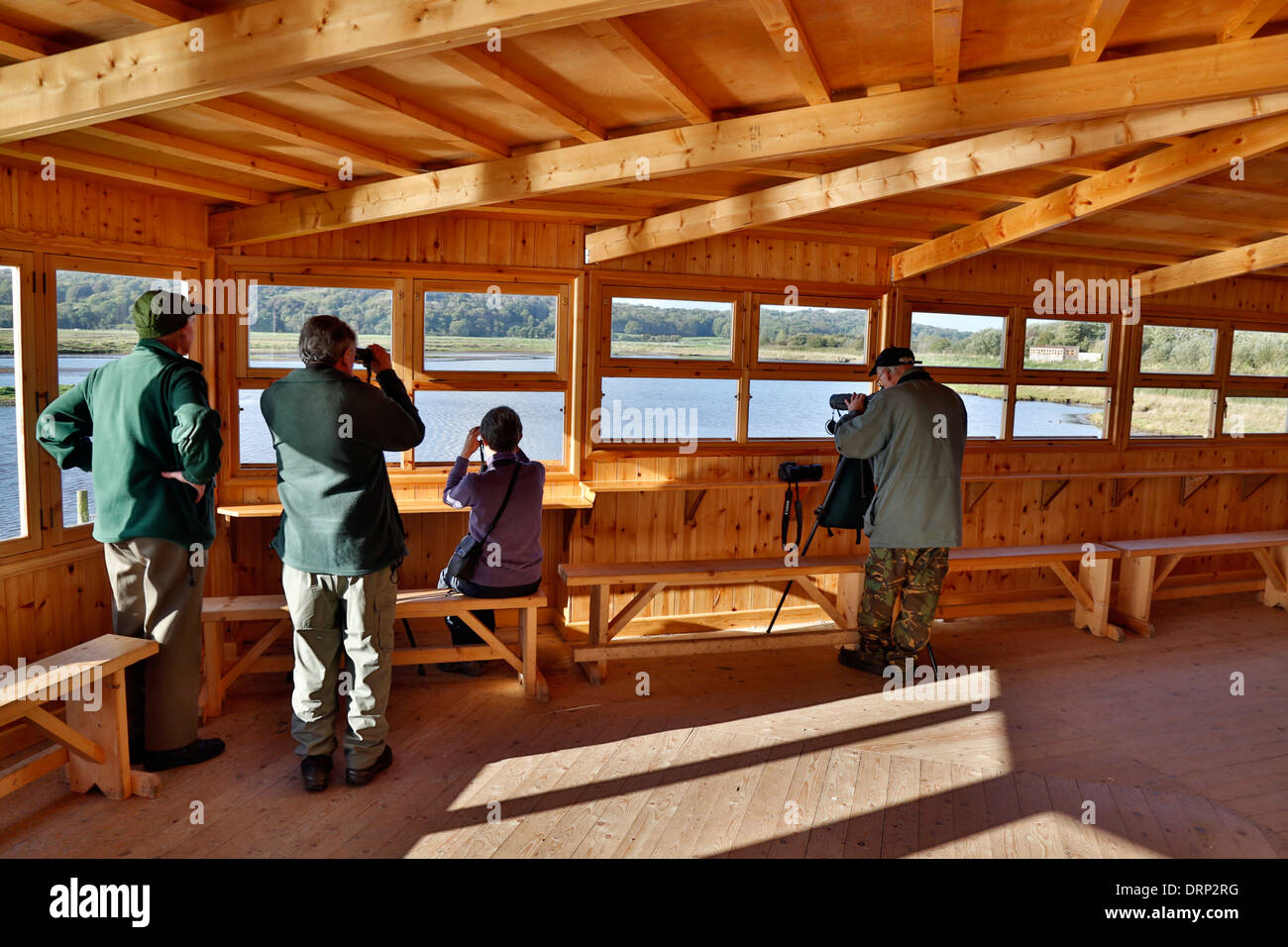 Leighton Moss; RSPB Riserva; pelli; Lancashire, Regno Unito Foto Stock