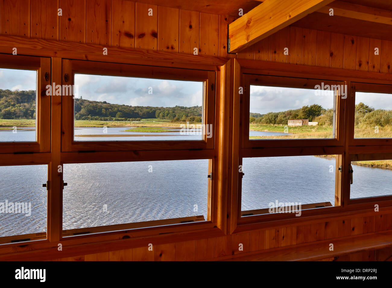 Leighton Moss; RSPB Riserva; pelli; Lancashire, Regno Unito Foto Stock