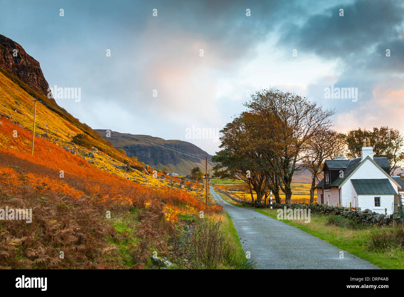 Balnahard, Gribun, Isle of Mull, altopiani, Scotland Regno Unito 2013 Foto Stock