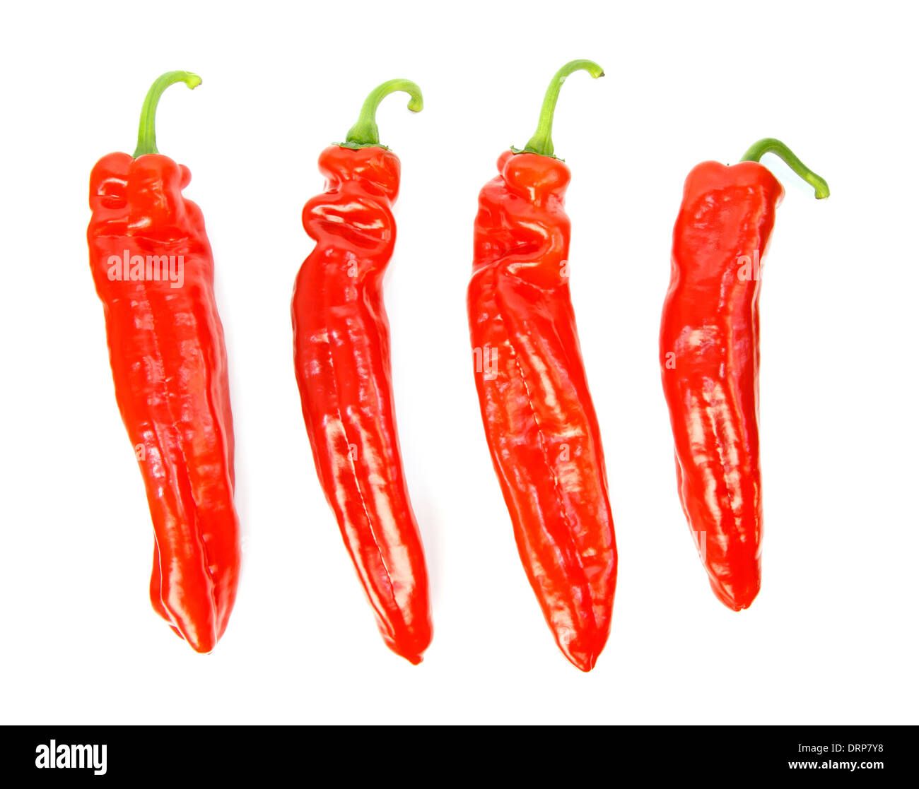 Quattro peperoni appuntita in fila contro sfondo bianco Foto Stock