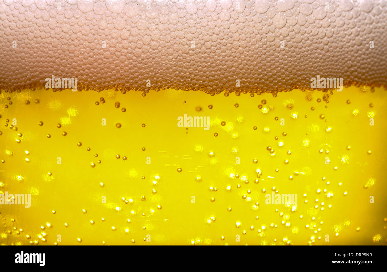 Le bolle che salgono attraverso un bicchiere di birra lager risultante in una testa di schiuma Foto Stock
