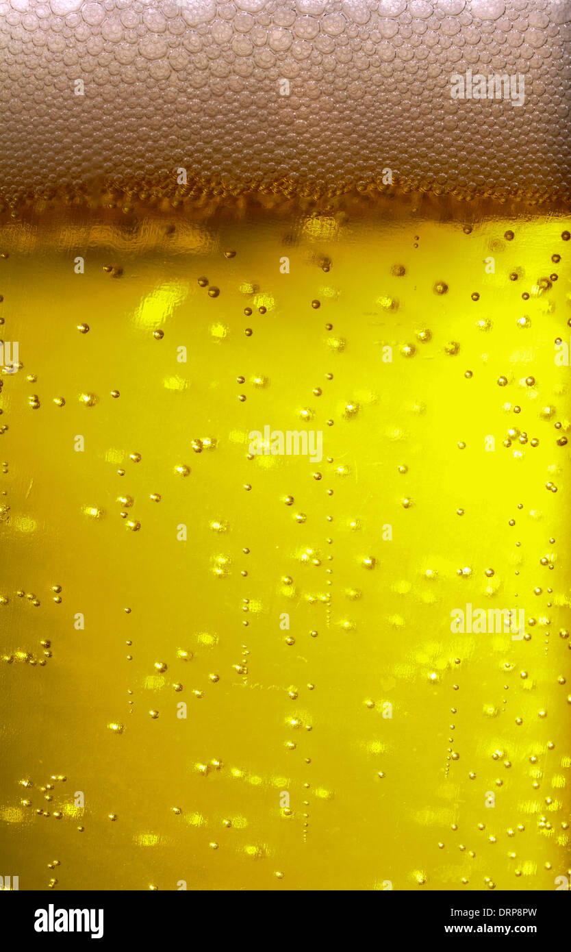 Le bolle che salgono attraverso un bicchiere di birra lager risultante in una testa di schiuma Foto Stock