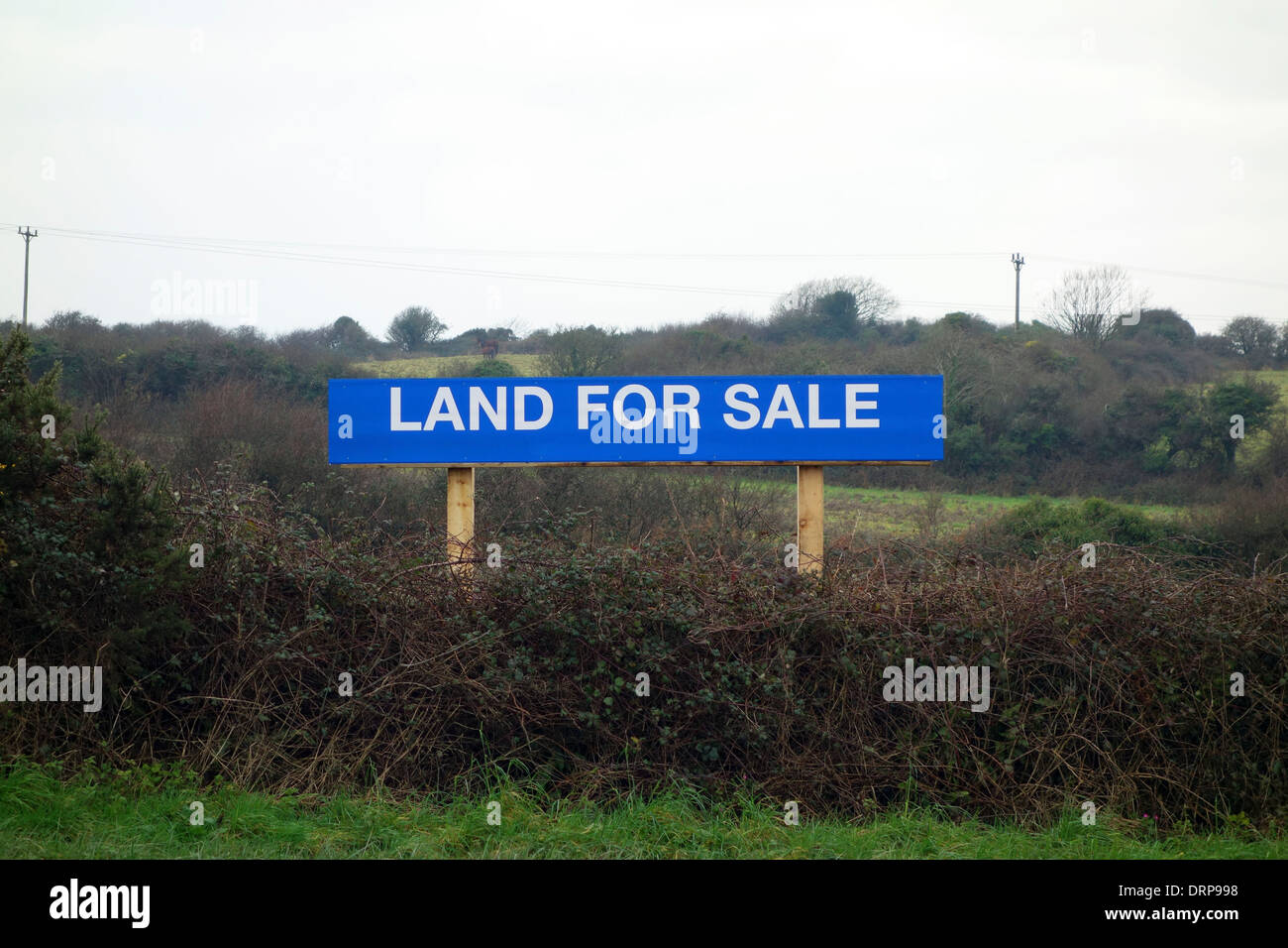 Terreni in vendita in Redruth, Cornwall, Regno Unito Foto Stock