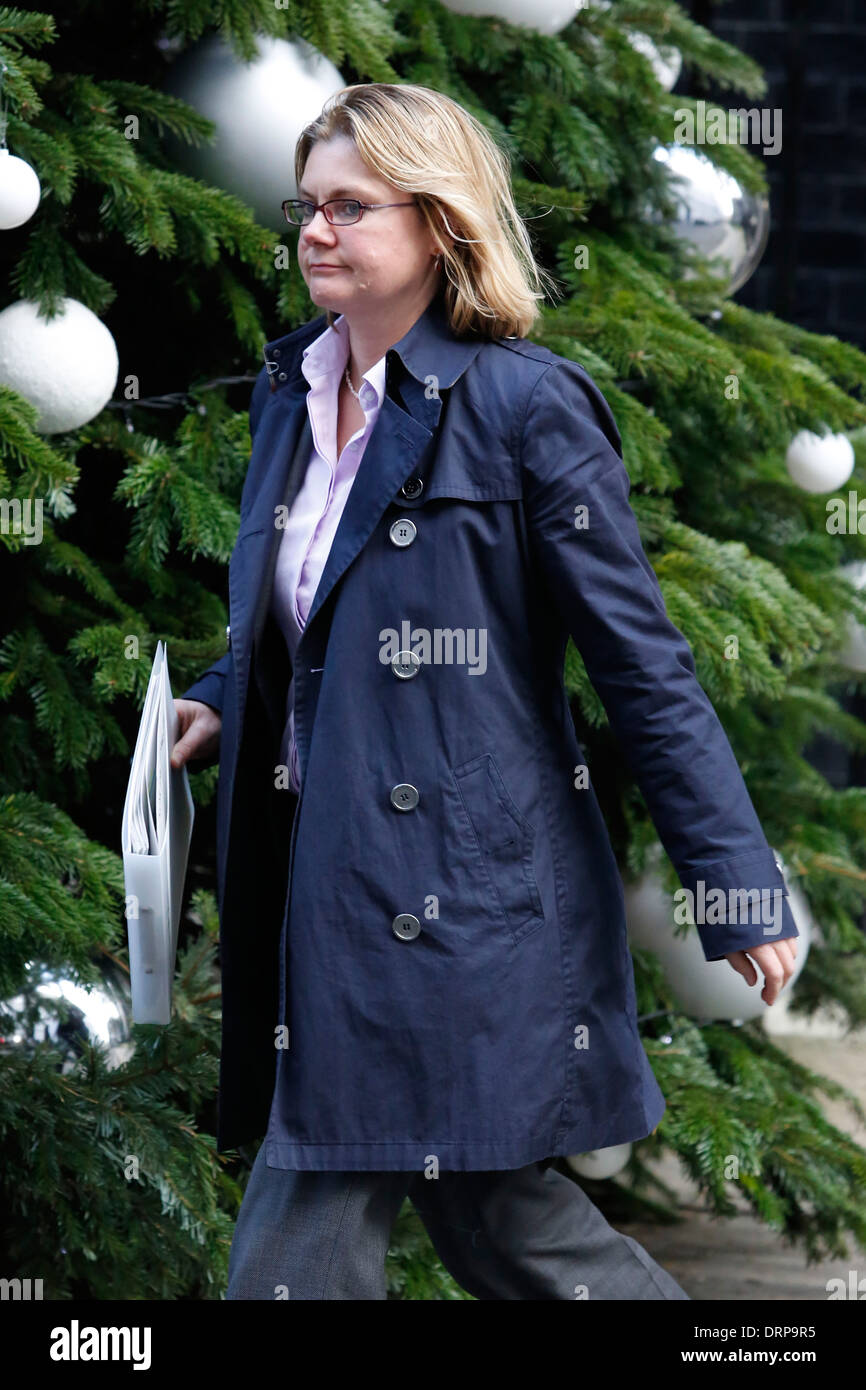 Lo sviluppo internazionale Segretario Greenin Justine Foto Stock