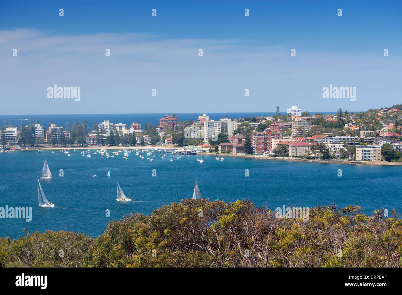 Elevata vista generale del porto da Dobroyd Head con barche a vela di Manly passato Sydney New South Wales AUSTRALIA Foto Stock