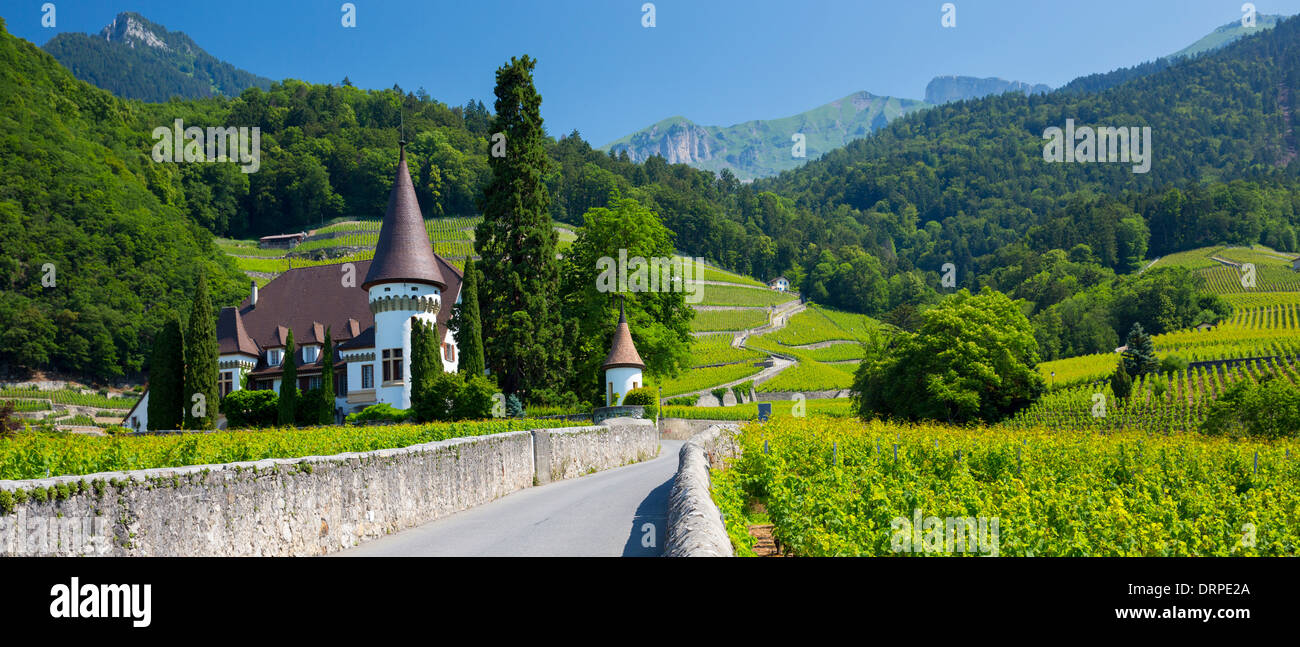 Wine Estate, Chateau Maison Blanche, a Yvorne nel Chablais regione della Svizzera Foto Stock