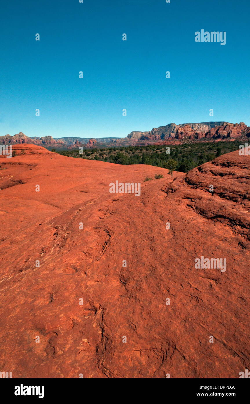 Il Red Rock State Park, , di Sedona in Arizona, rocce rosse Foto Stock