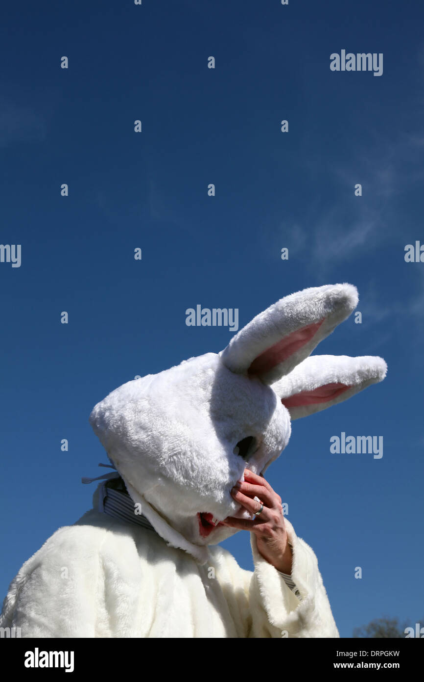 L'uomo vestito di un coniglietto di pasqua costume adegua la sua maschera Foto Stock