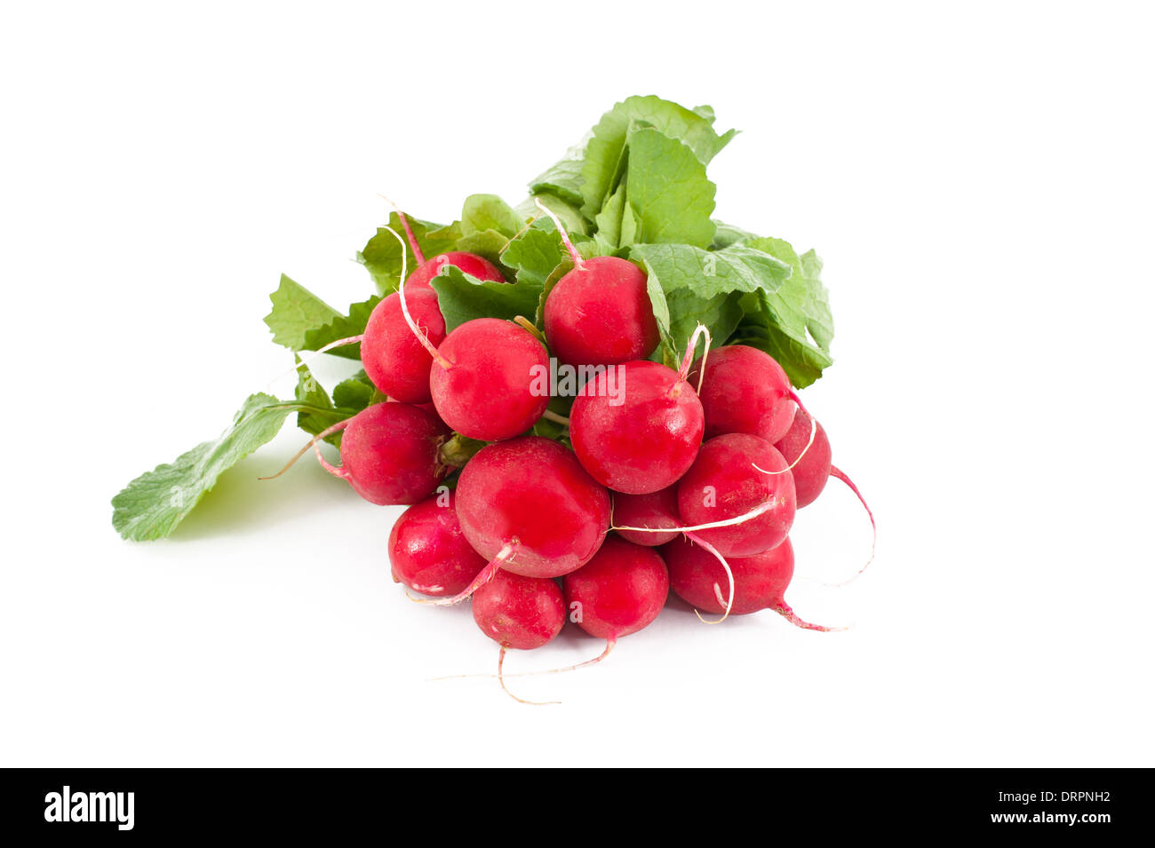 Red ravanelli isolato su bianco Foto Stock