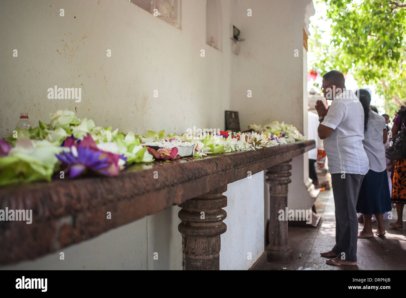 Uomo che prega davanti di fiori vicino al tempio Foto Stock